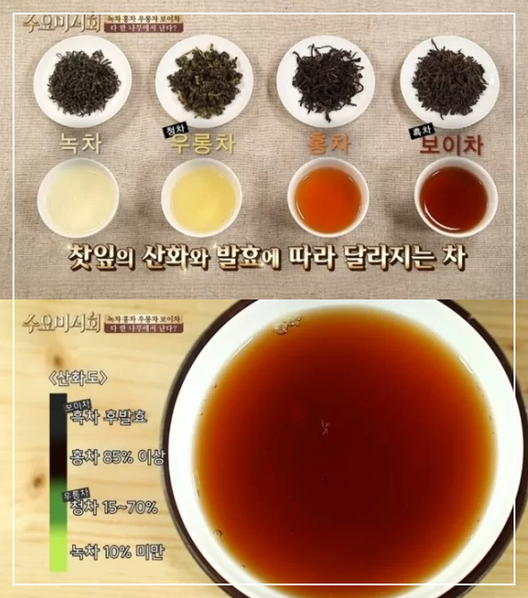  [차이야기] 녹차 분류하기, 녹차 종류 총정리