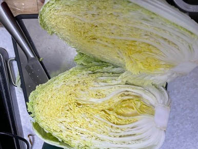김치
