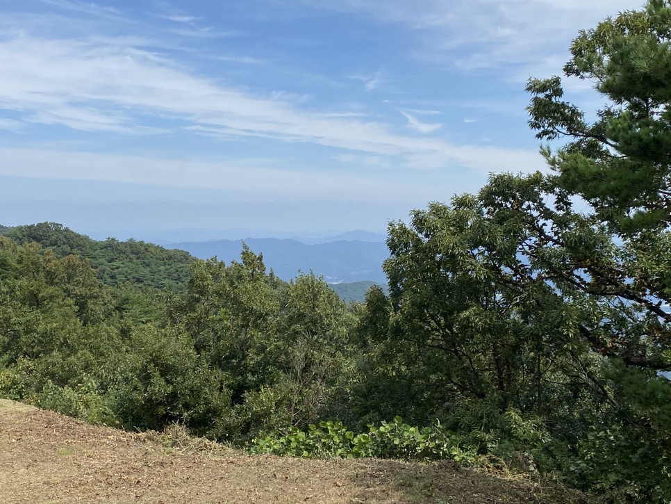 홍길동이 다녀간 23