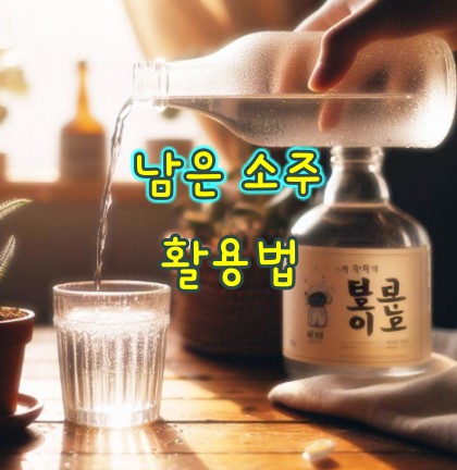 남은-소주-활용법