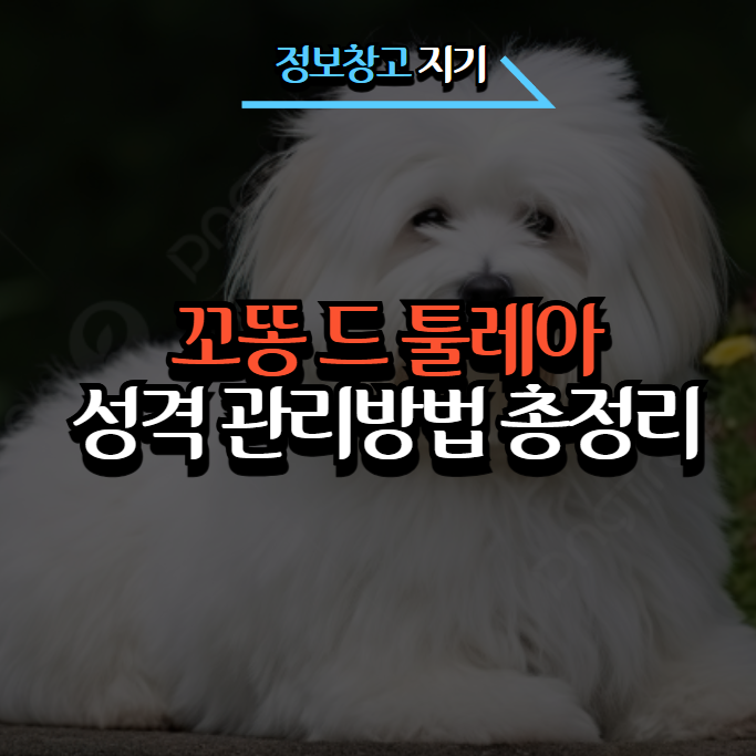 작은구름솜사탕 이미지