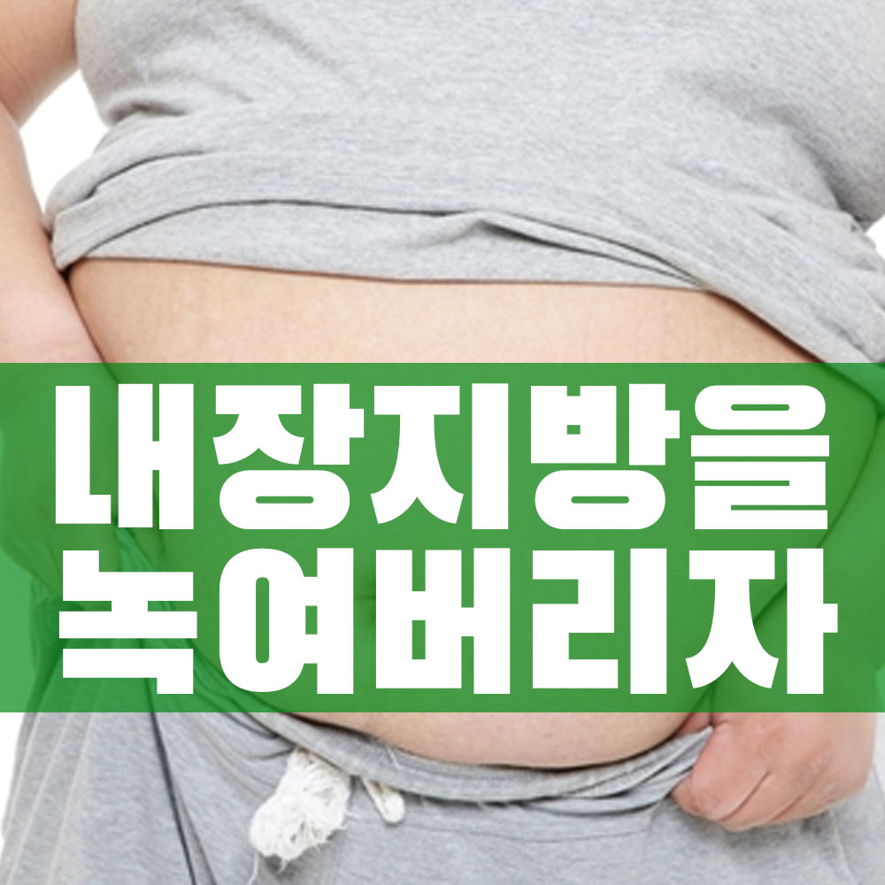 내장지방을 완전히 녹여 버리는 다이어트 식품을 알아보자 내장지방을 완전히 녹여 버리는 다이어트 식품을 알아보자
