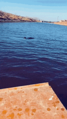  쿨거래.gif