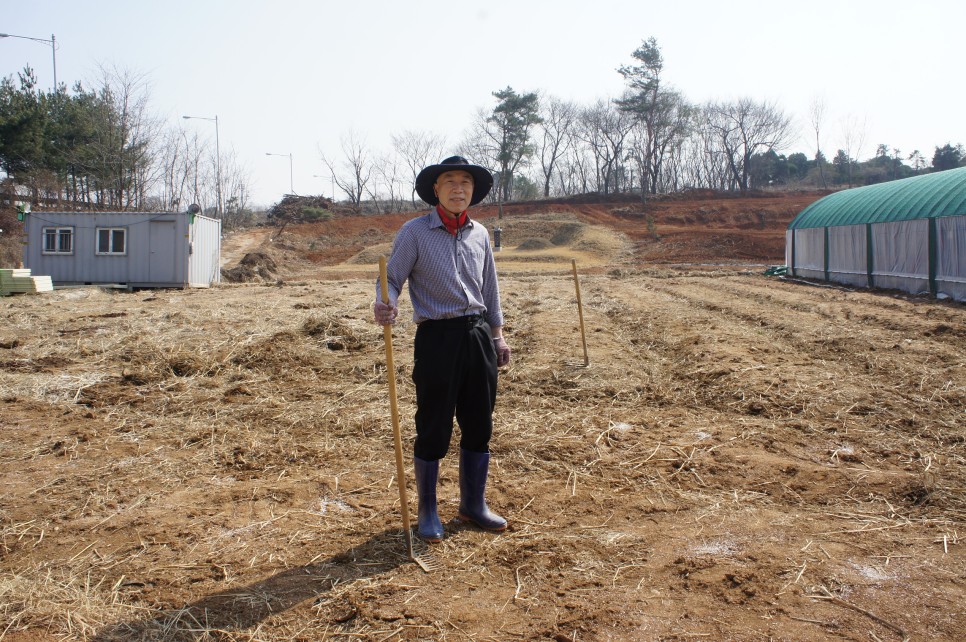 옥수수와 옥수수 가루 추억 // 손자에게 보내는 편지 (제375호) 17