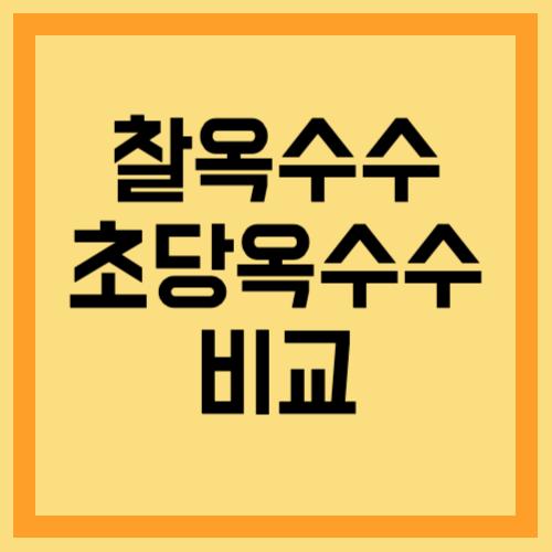 찰옥수수와 초당옥수수 비교