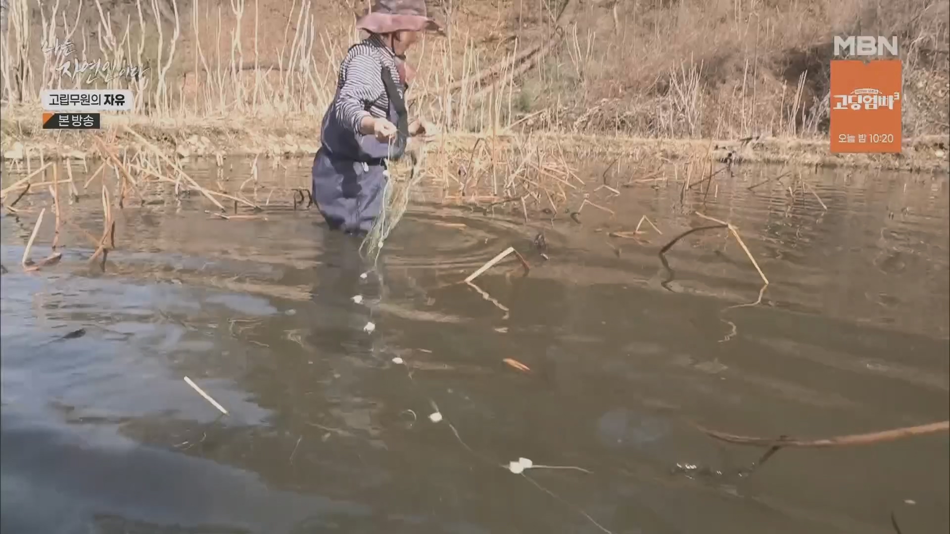 나는 자연인이다.E549.230412p.H264-F1RST.mp4_20230413_213201.533.jpg