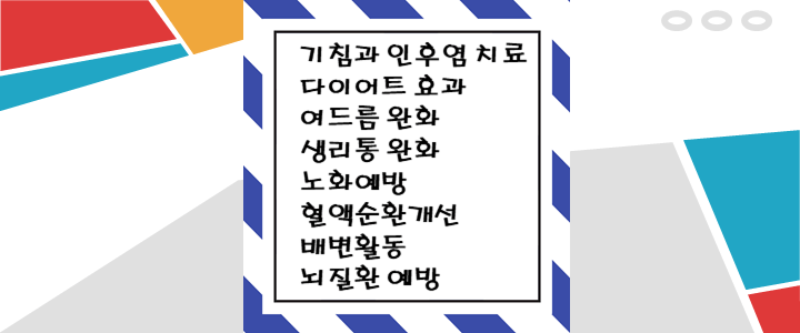 찬물과 따뜻한 물 우리 몸에 미치는 영향