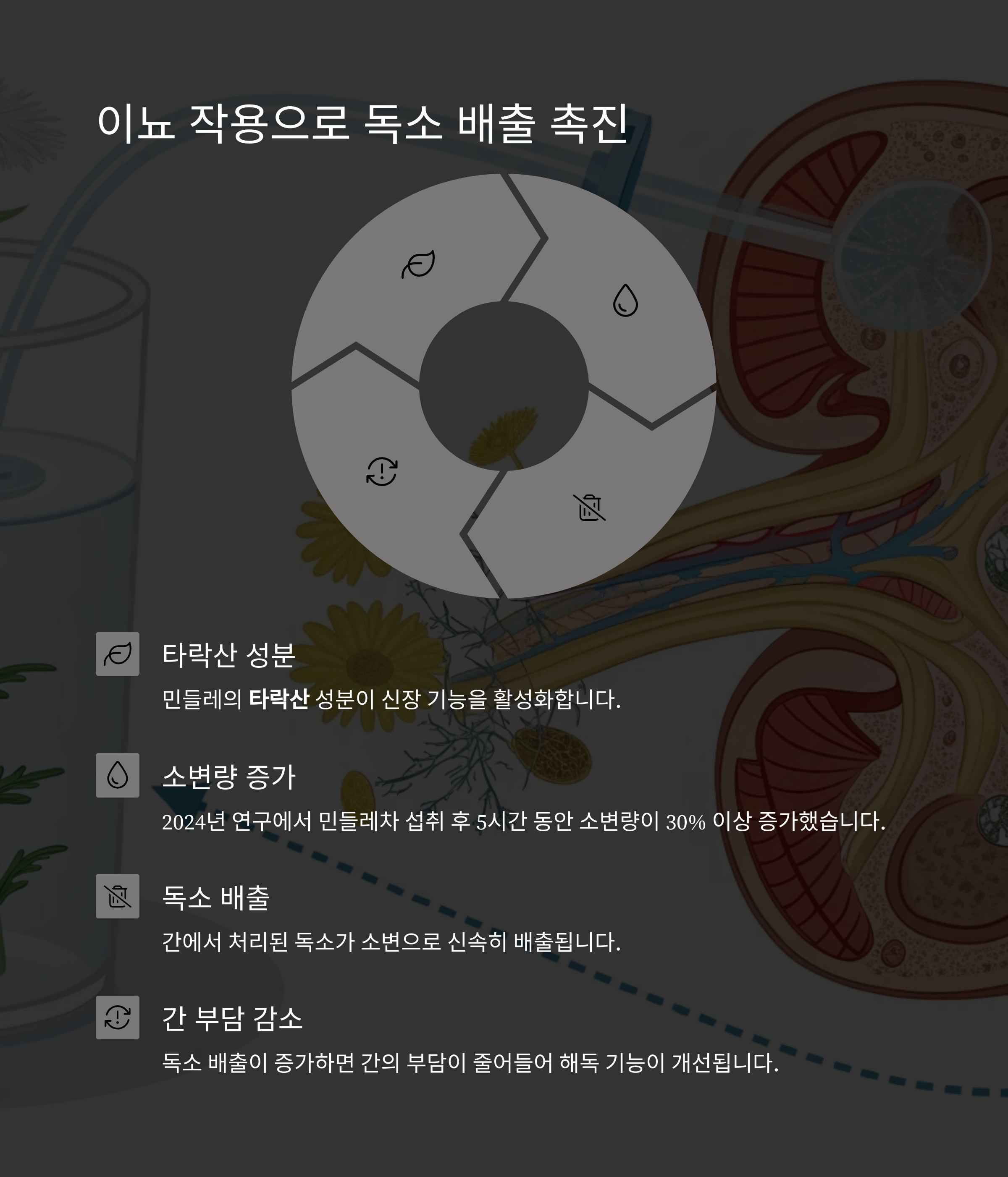 민들레차 효능