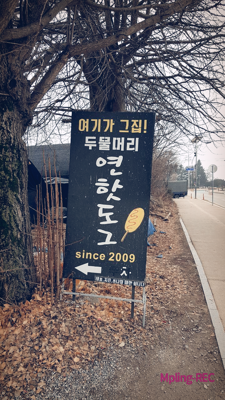  양평 :: 두물머리 연핫도그! 먹어본 핫도그 중에서 최고!