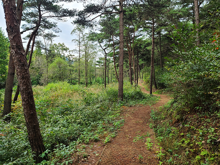 충남 걷기 좋은 숲길 국내여행 걷기 좋은 길, 16