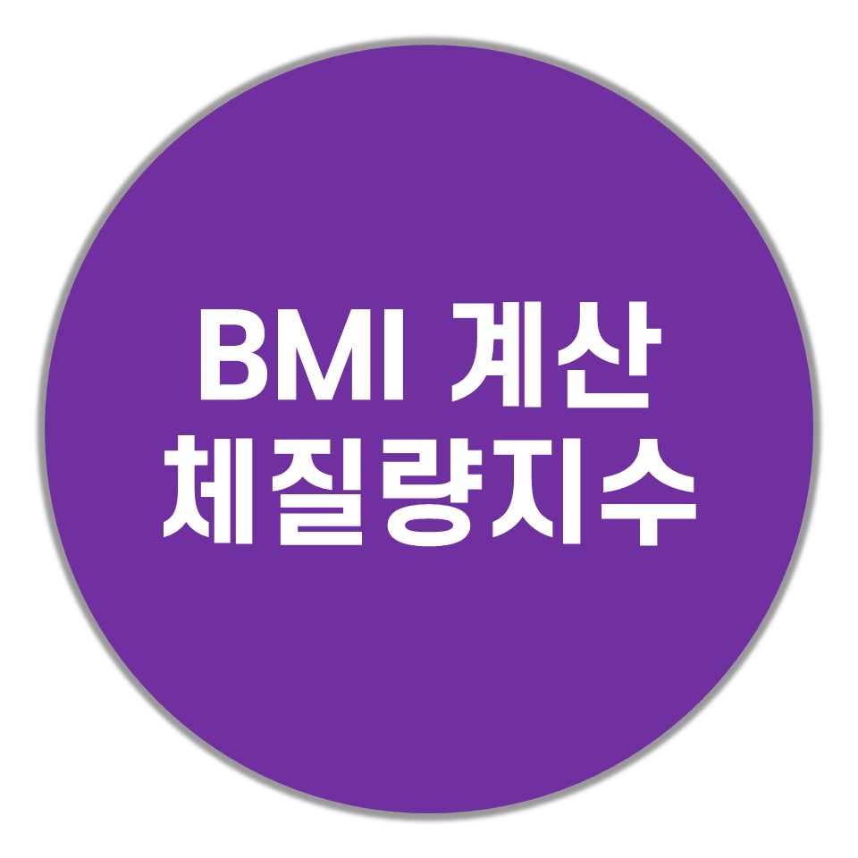  BMI 계산하기, 체질량지수, 비만도 측정