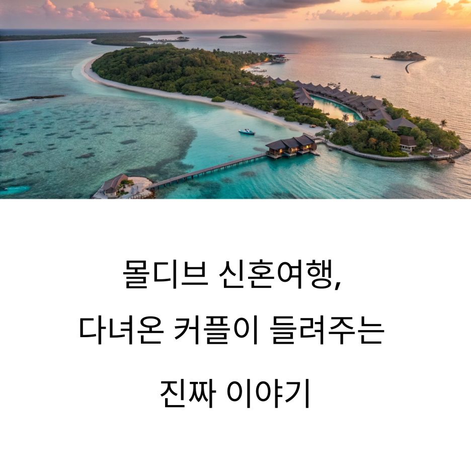 몰디브 신혼여행 후기