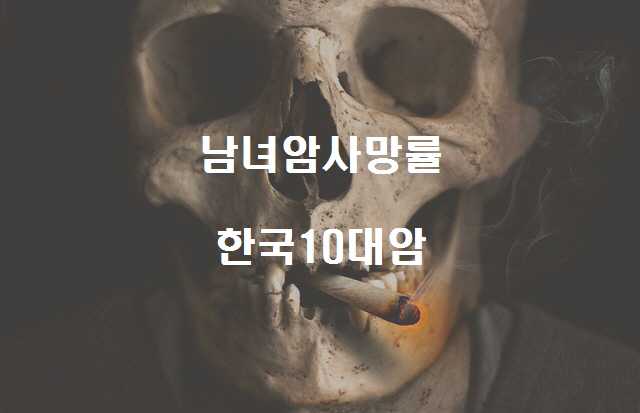  노다지네 잡학다식