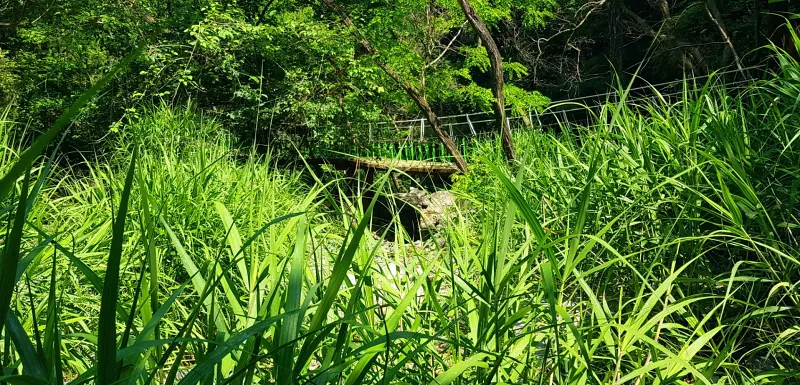 창원 비음산