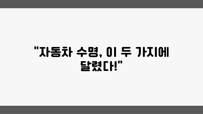 정기 관리 및 점검