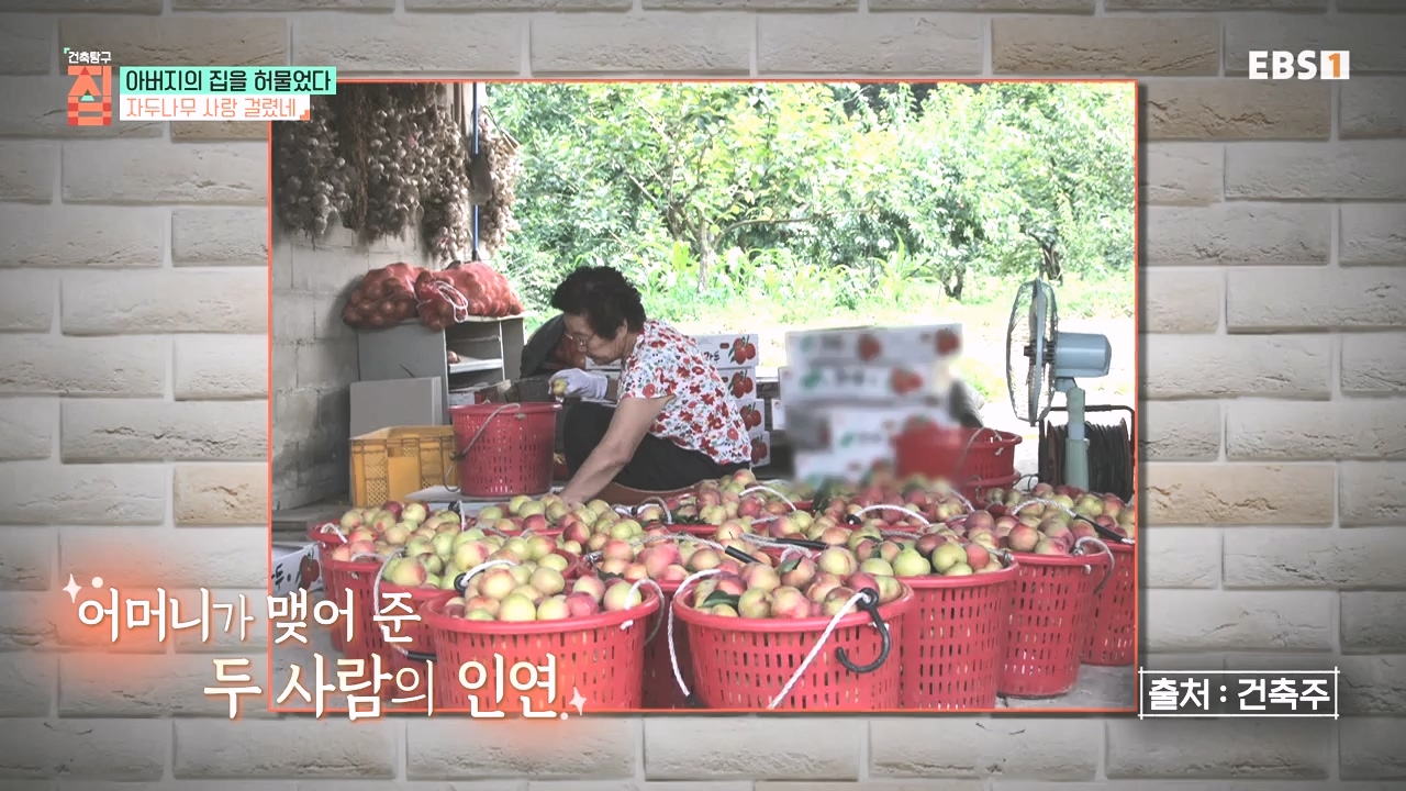 TV - 전 국민의 평생학교 EBS아버지의 집을 허물었다.mp4_20231019_204202.532.jpg