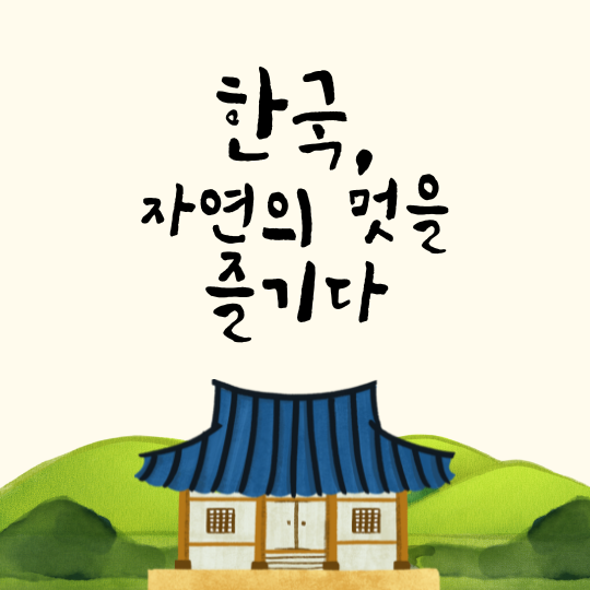 한국어 교원 자격증 취득방법