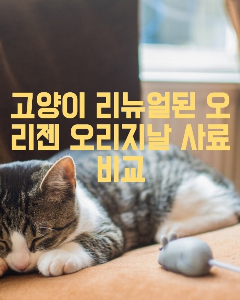 고양이 리뉴얼된 오리젠 오리지날 사료 비교