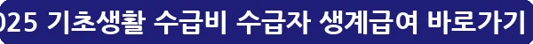 2025 기초생활 수급비 수급자 생계급여_29