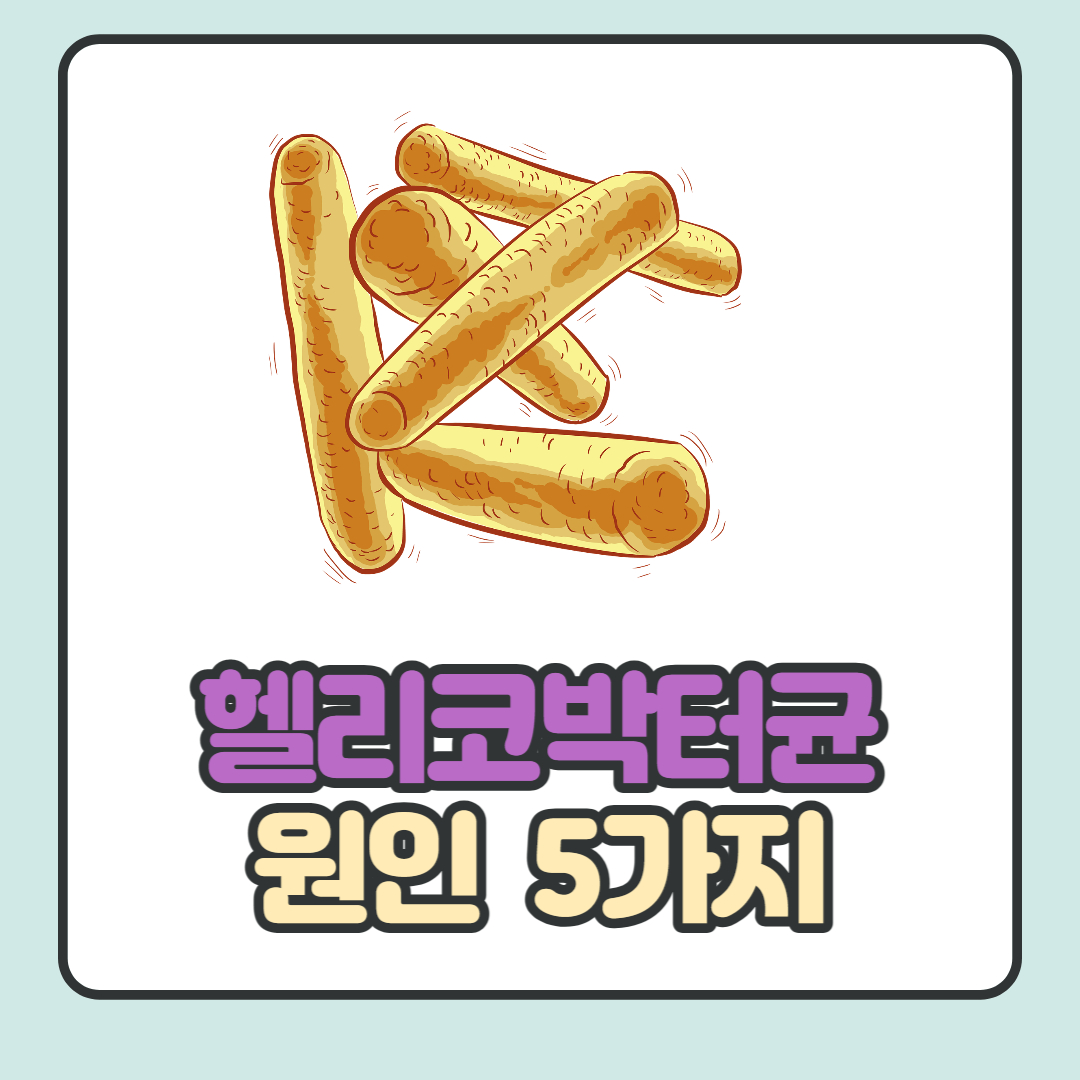 헬리코박터균-원인