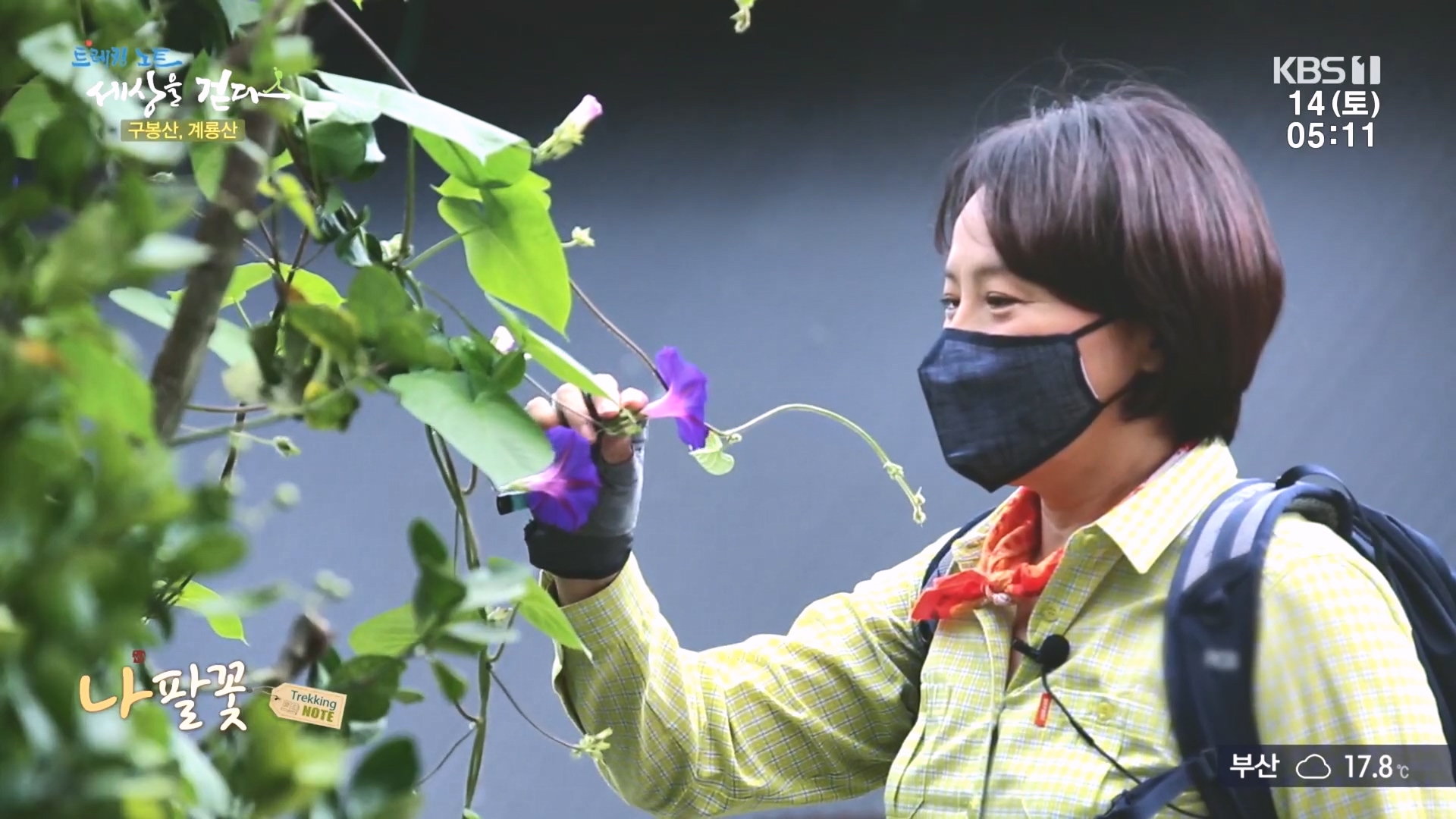 트레킹노트 세상을 걷다.E290.231014p.H264-F1RST.mp4_20231014_175212.821.jpg