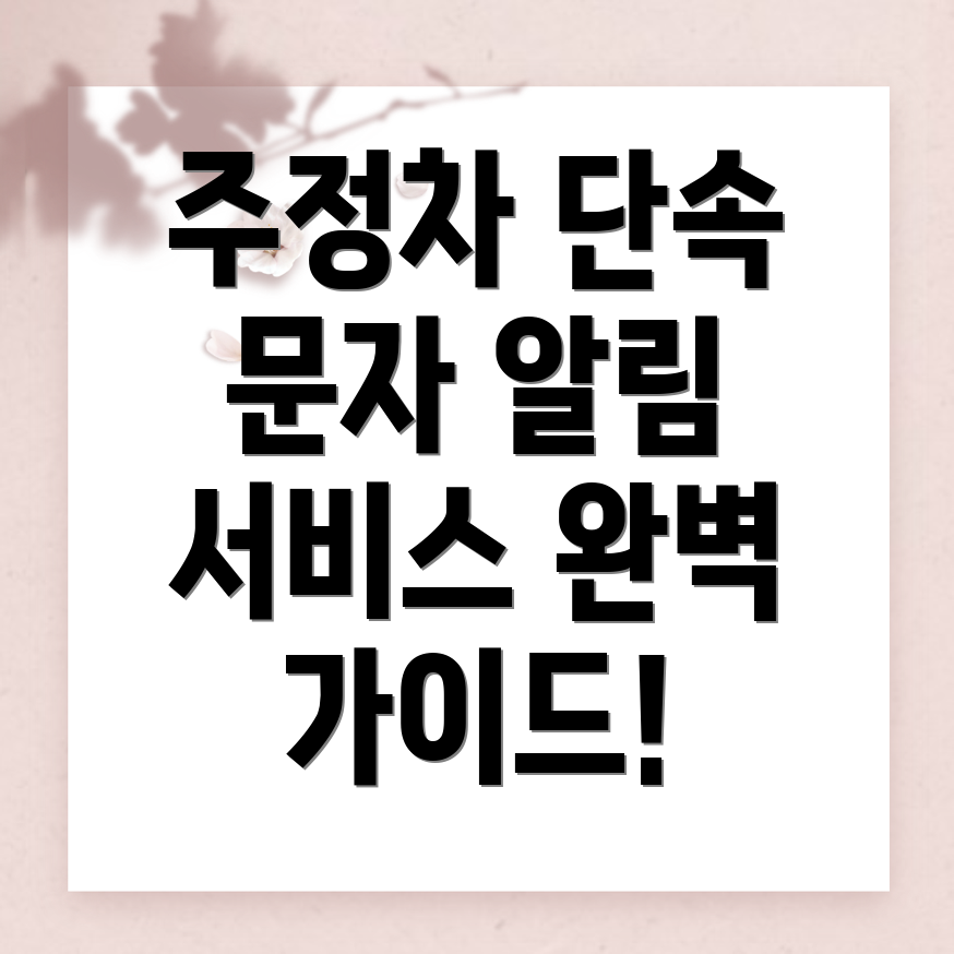주정차 단속 문자알림 서비스