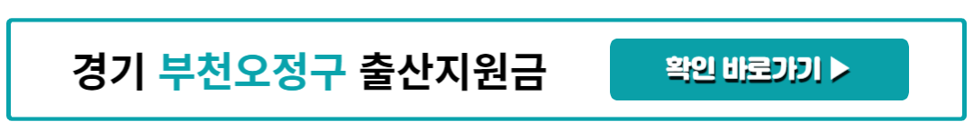경기 부천오정구 출산지원금