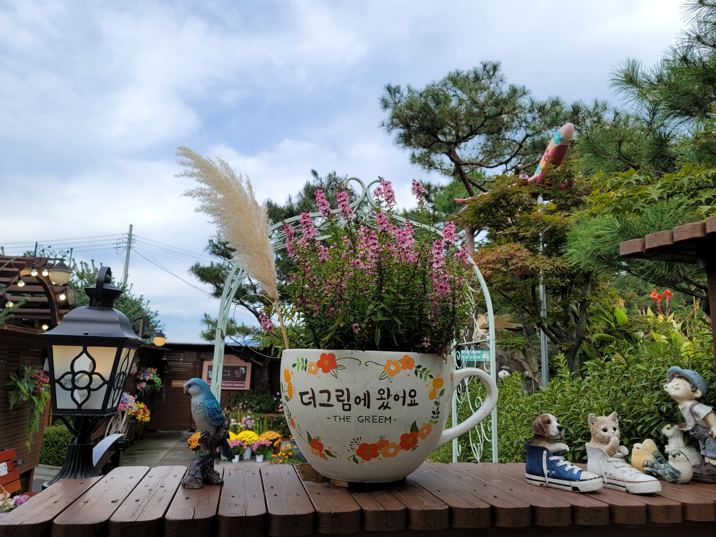  양평 가볼만한곳 더그림 경기도 꽃구경 가을나들이 명소