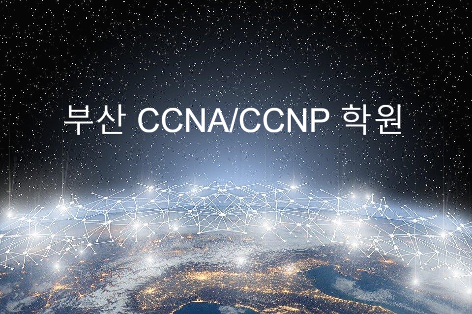  부산CCNA/CCNP학원 § 네트워크기초부터 심화교육까지! 네트워크전문가 되어보자