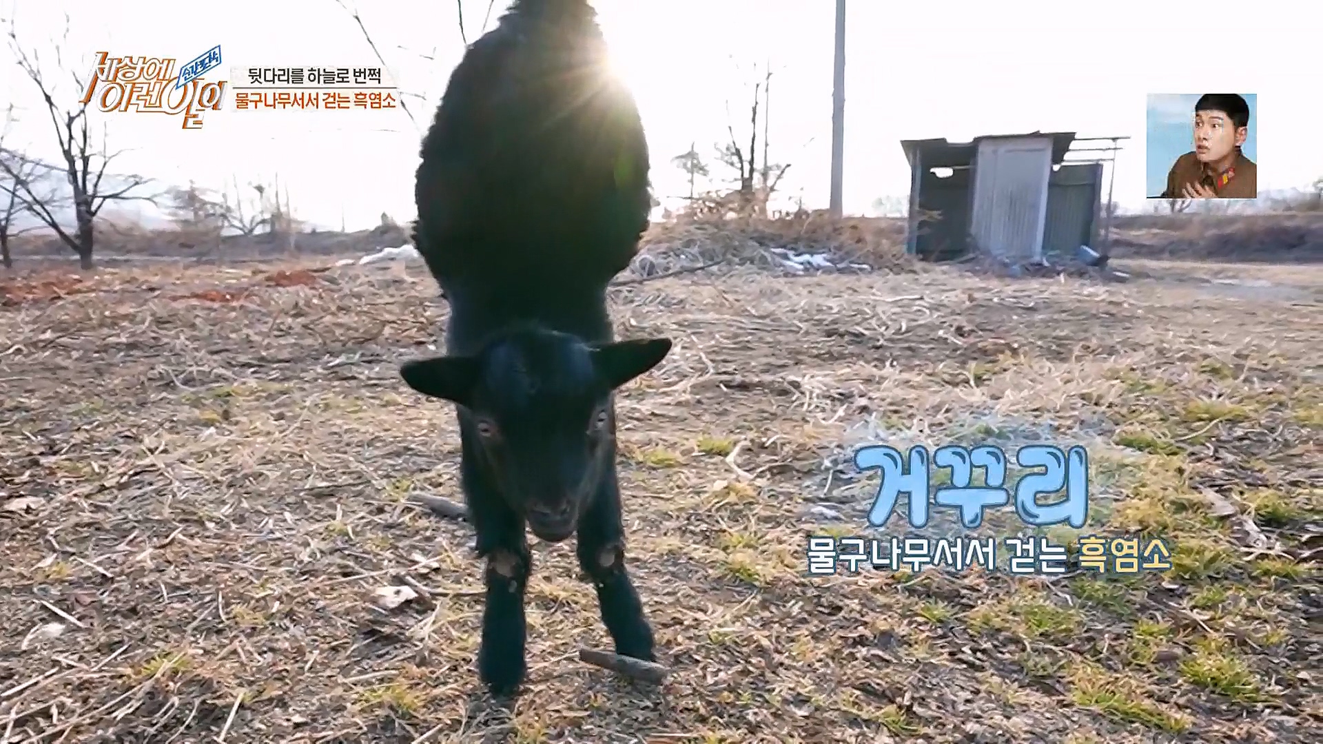 순간포착 세상에 이런일이.E1214.230117p.H264-F1RST.mp4_20230118_190513.023.jpg