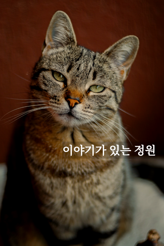 떼껄룩(TAKE A LOOK) 이미지