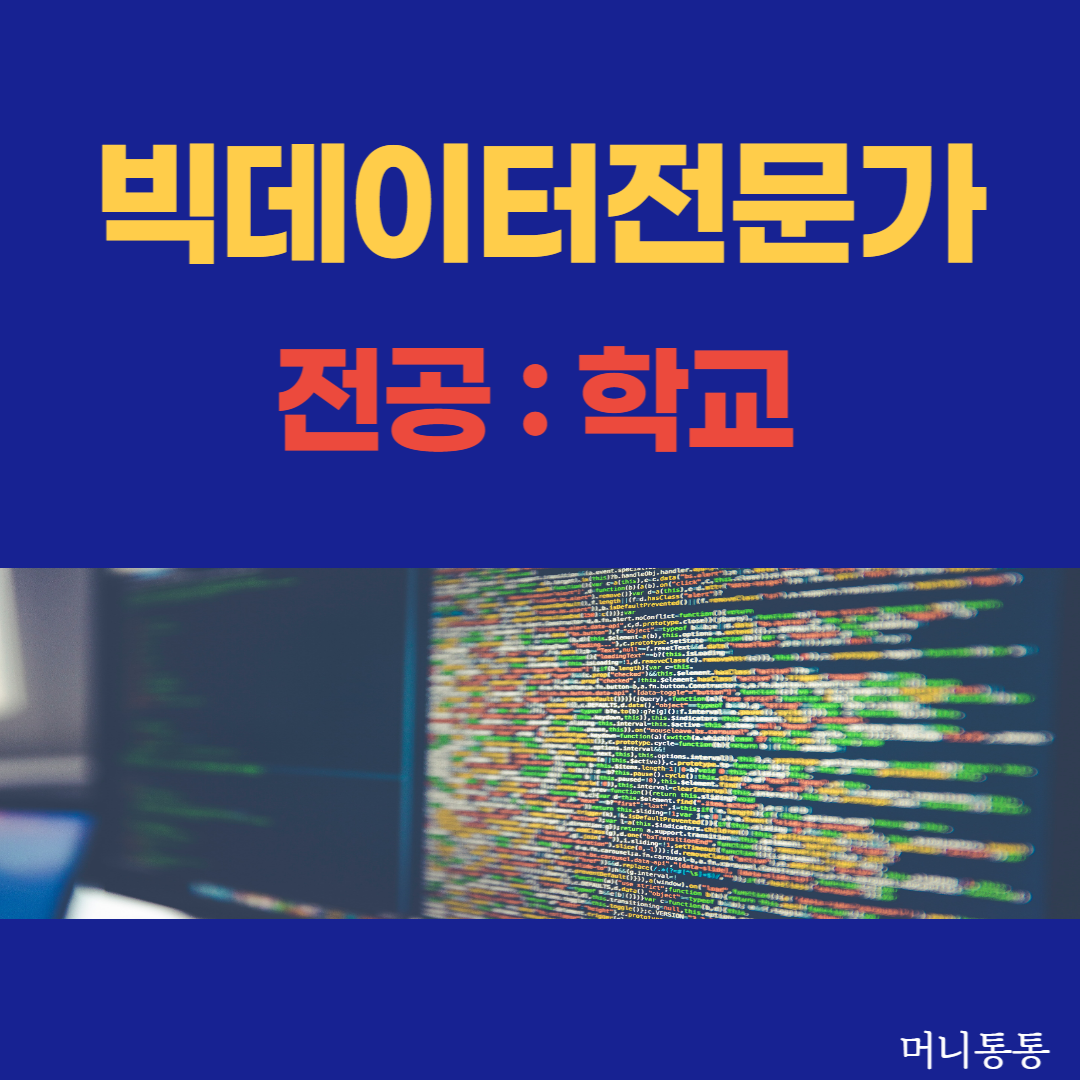  미래유망직업 : 빅데이터전문가,전공,학교
