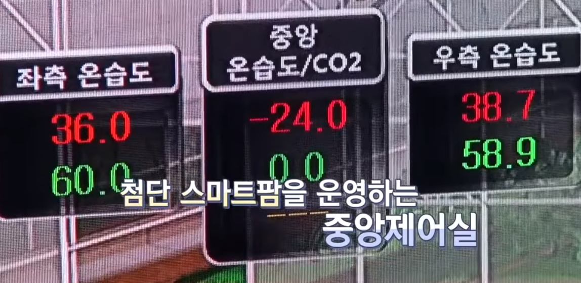  농업 스마트팜