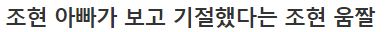  조현 아빠가보고 기절했다는 전설의 조현 짤 ㅗㅜ ㅑ