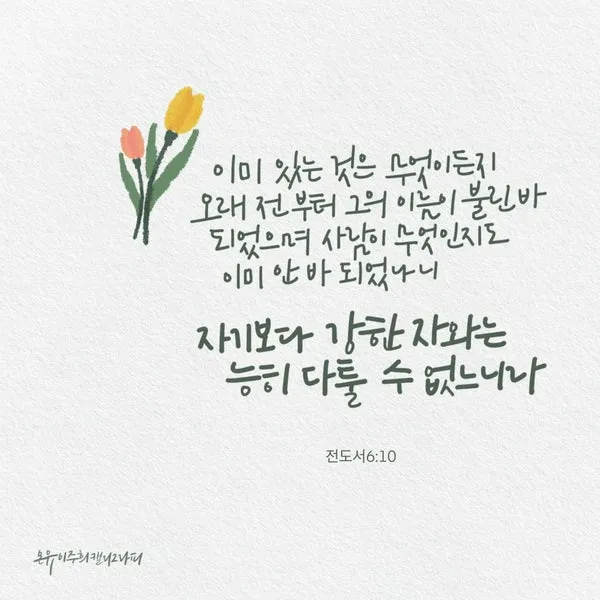 전도서 6장 인생이란 성경 말씀 묵상_3