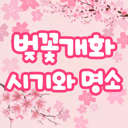 벚꽃개화시기