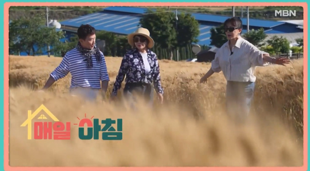 매일아침 보령 간장게장