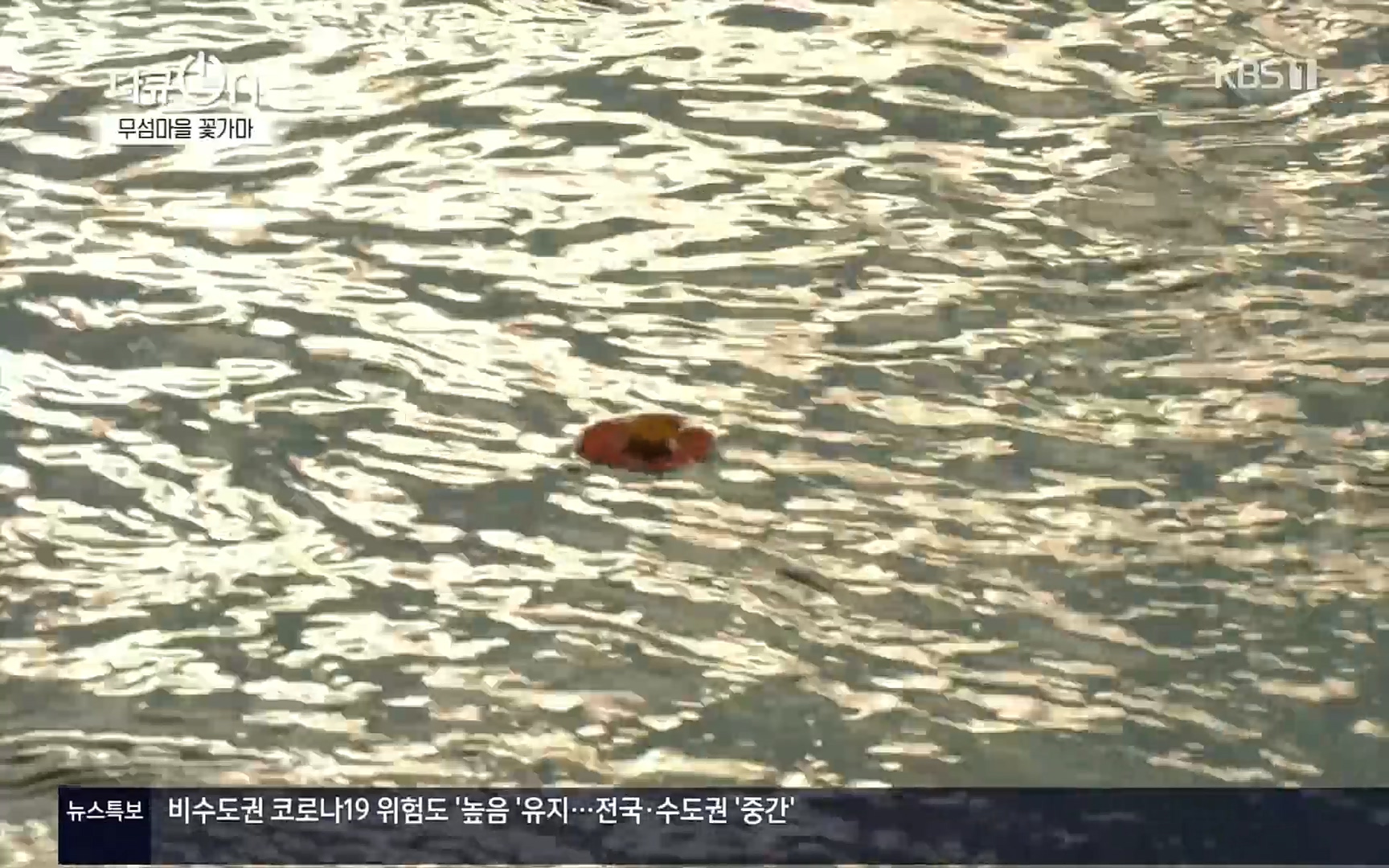 다큐 On.E156.220909p.H264-F1RST.mp4_20220910_190853.201.jpg
