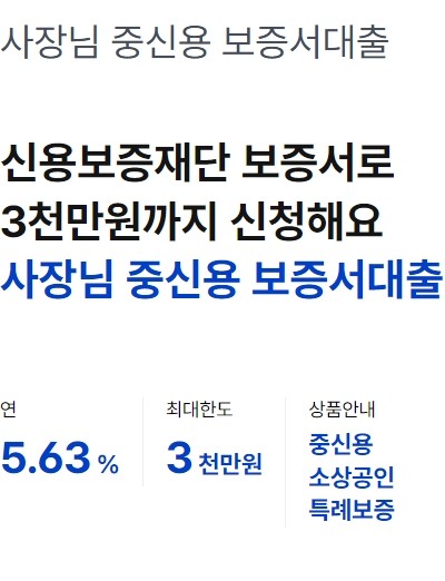 케이뱅크 사장님 중신용 보증서대출