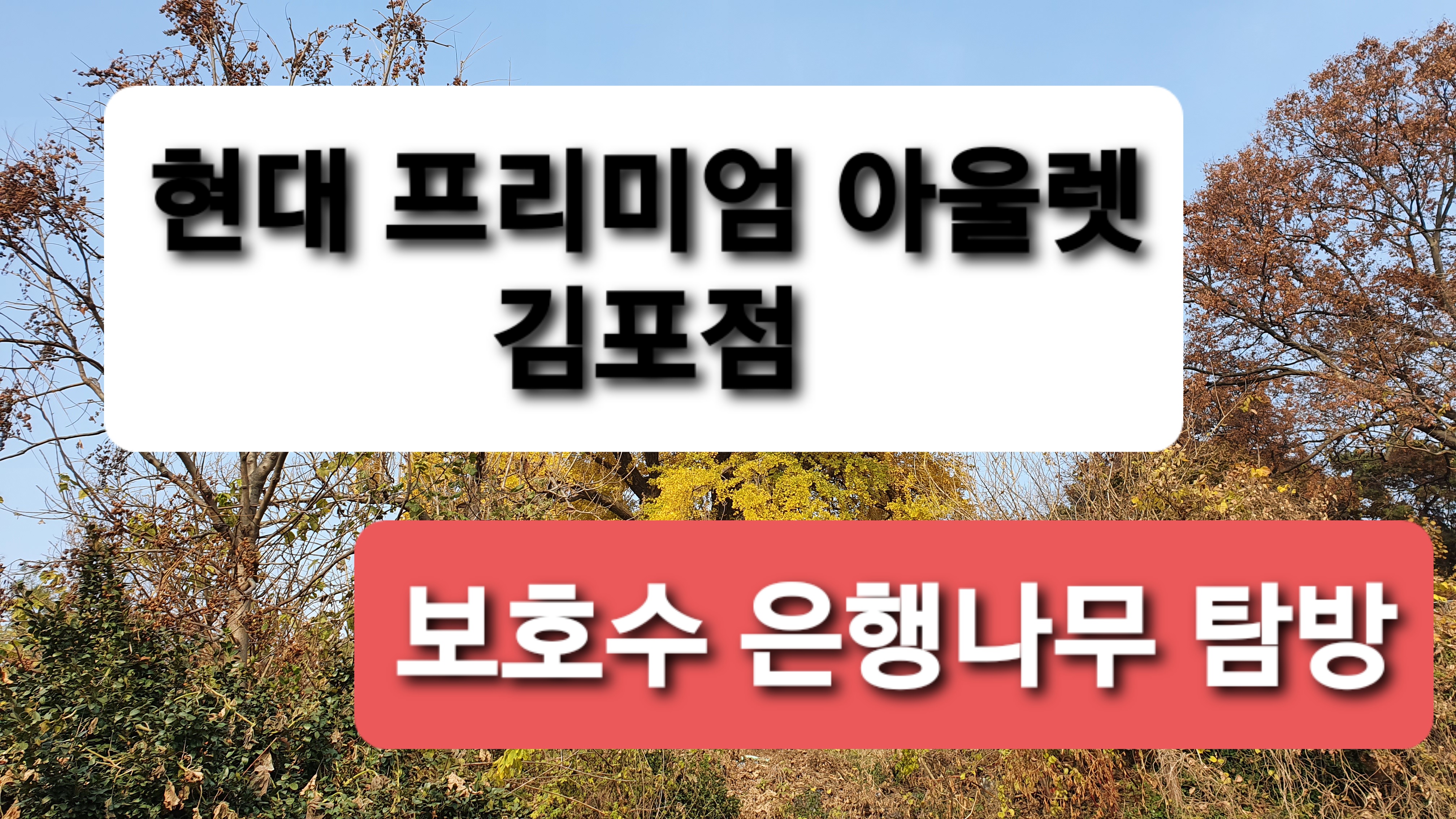 김포소방서(수난119구조대) 이미지