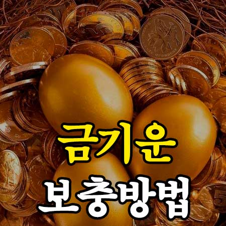 금기운 보충 방법