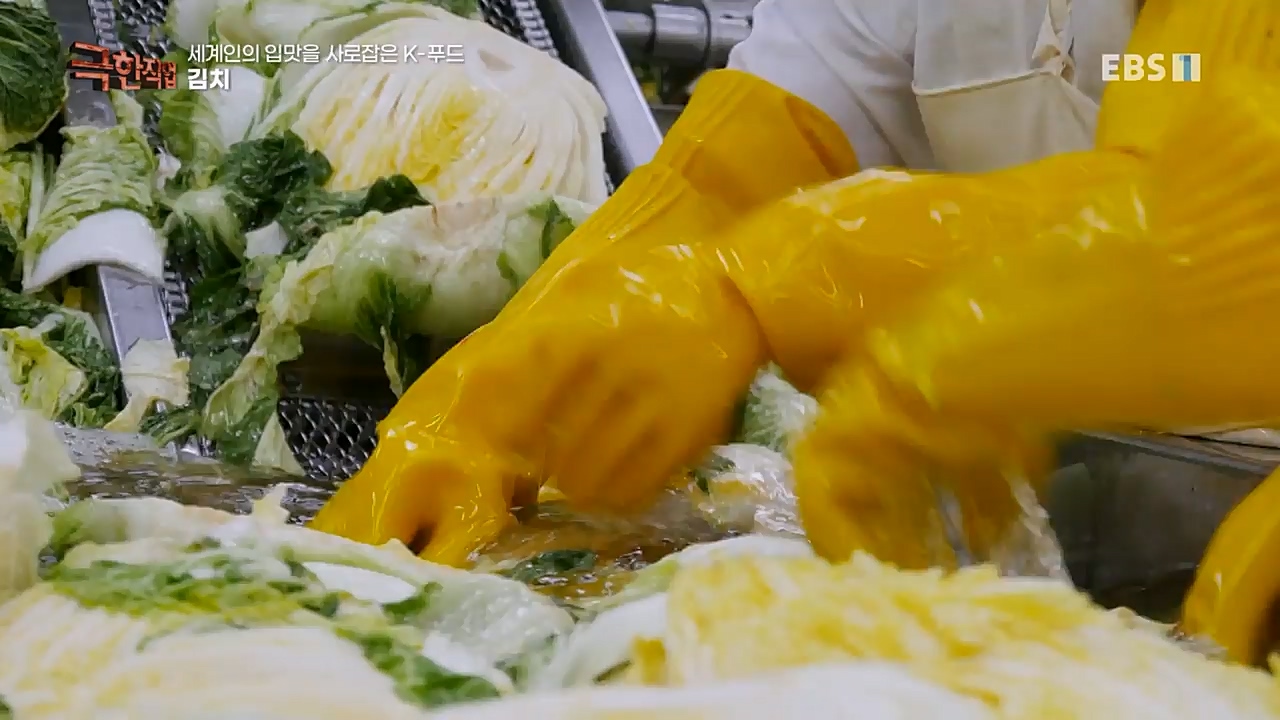 TV - 교육의 중심 EBS세계인의 입맛을 사로잡은 K-푸드.mp4_20230211_183503.368.jpg