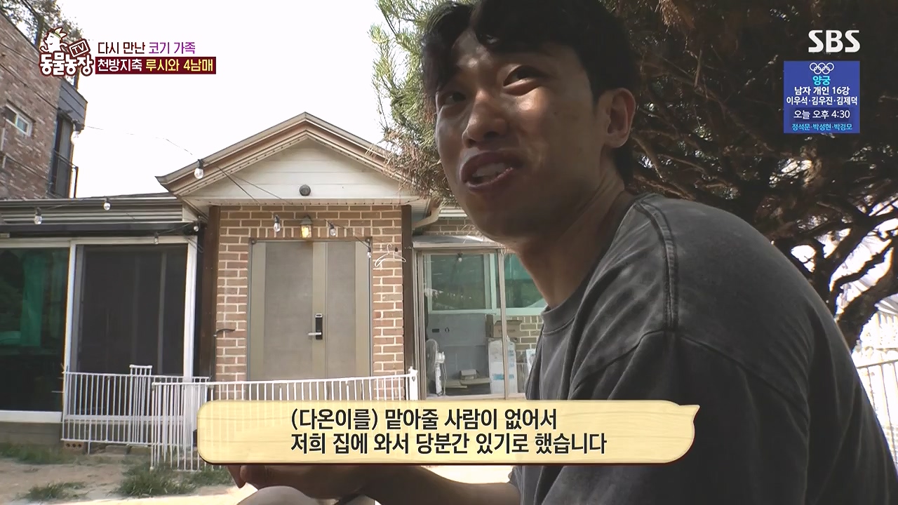 TV 동물농장.E1183.240805p-NEXT.mp4_20240804_154932.671.jpg