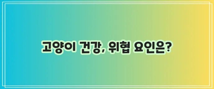 고양이 병 종류 101 가이드 꼭 알아두세요!