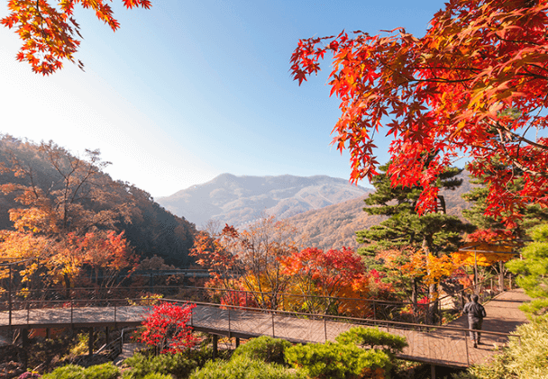 화담숲 이미지