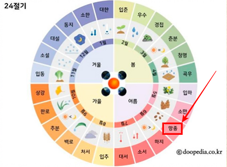 망종