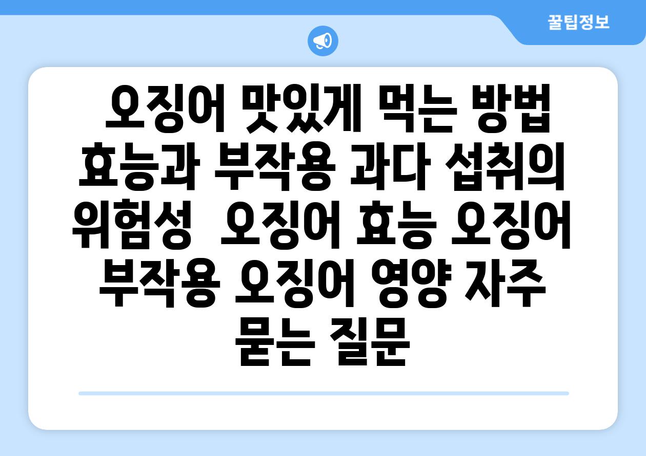  오징어 맛있게 먹는 방법 효능과 부작용 과다 섭취의 위험성  오징어 효능 오징어 부작용 오징어 영양 자주 묻는 질문