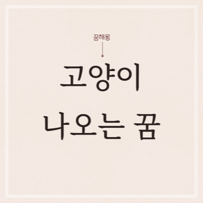  고양이 꿈 해몽 5가지 정리