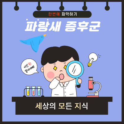  현대 사회에서 많은 사람이 앓고 있는 파랑새 증후군 알아보기