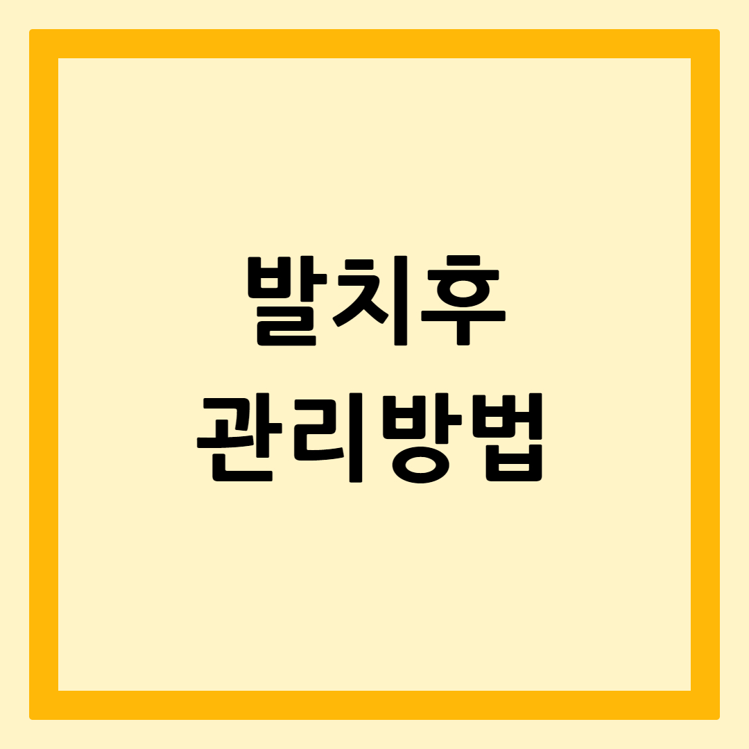 발치후관리방법